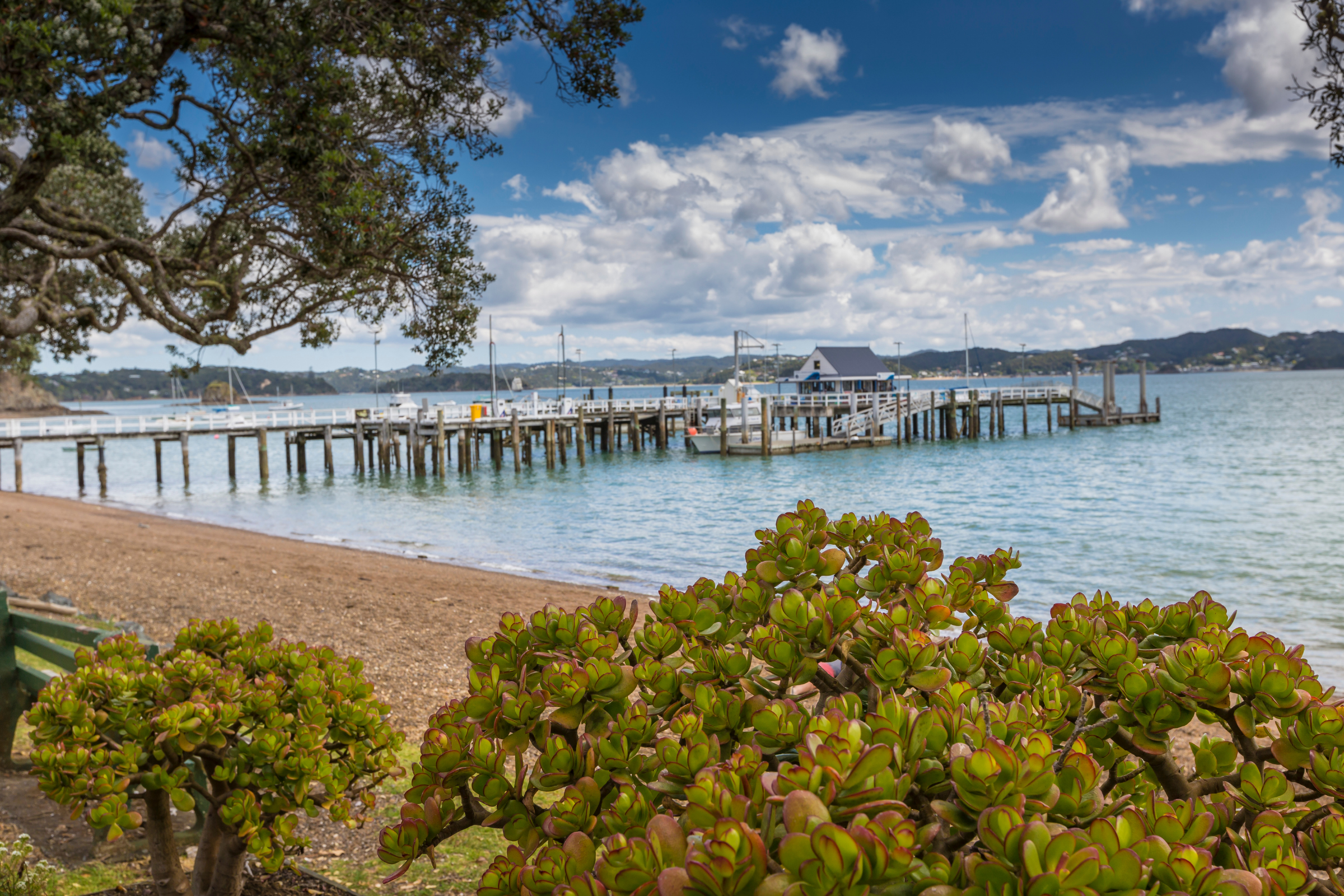 russel, bay of islands 03.webp